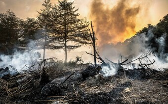 Оценка ущерба после стихийного бедствия в Воронеже: отчет оценщика